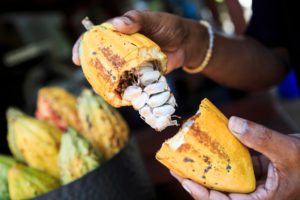 ETF, nel primo trimestre la combo vincente è petrolio-cacao