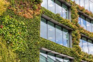 Criteri ESG, tra presa di coscienza e scelta d'investimento