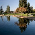 Apple – attesa per i conti trimestrali