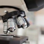 Farmaceutica italiana high export