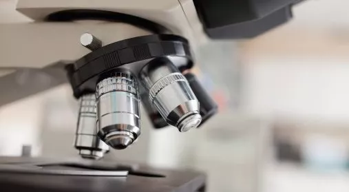 financialounge - italia Made In Italy ricerca settore farmaceutico settori