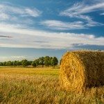 Commodity, opportunità o cautela?