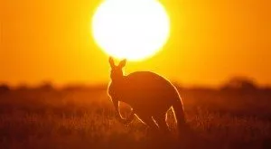 financialounge -  australia Europa imprese materie prime profit warning settori