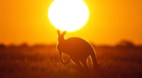 financialounge - australia Europa imprese materie prime profit warning settori