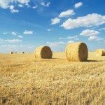 Cosa sta succedendo alle commodity?