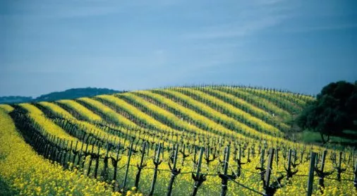 financialounge - commodities italia settori
