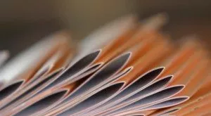 financialounge -  Assogestioni economia finanza giovani risparmi salone del risparmio