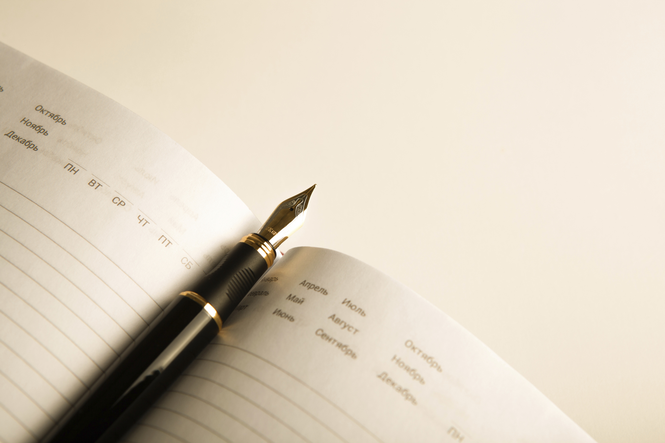 financialounge - Global Fixed Income Opportunities Fund