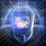 I meccanismi del cervello e la finanza