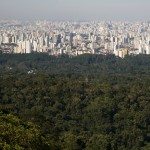 In Brasile i mondiali restano al secco