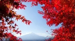 financialounge - Asia BlackRock BNP Paribas Investment Partners borsa Fidelity International giappone Invesco mercati azionari nikkei Schroders specializzazione