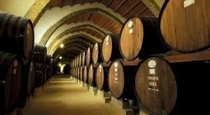 financialounge - Cinzia Tagliabue Pioneer Progetto Italia vino