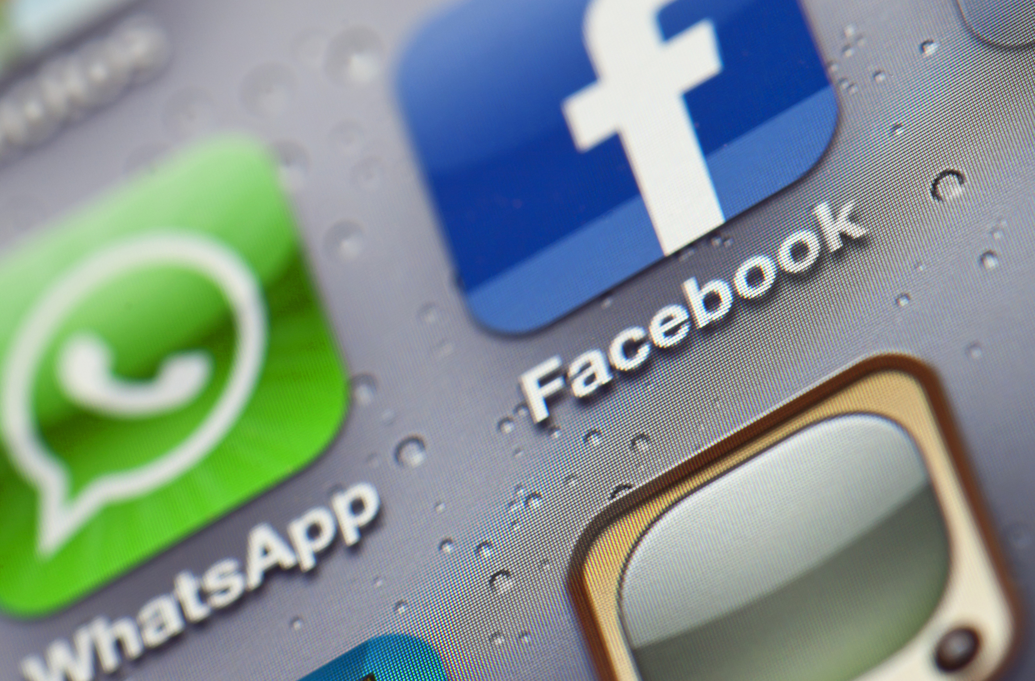 financialounge -  Business facebook Instagram Messaggistica privacy Whatsapp