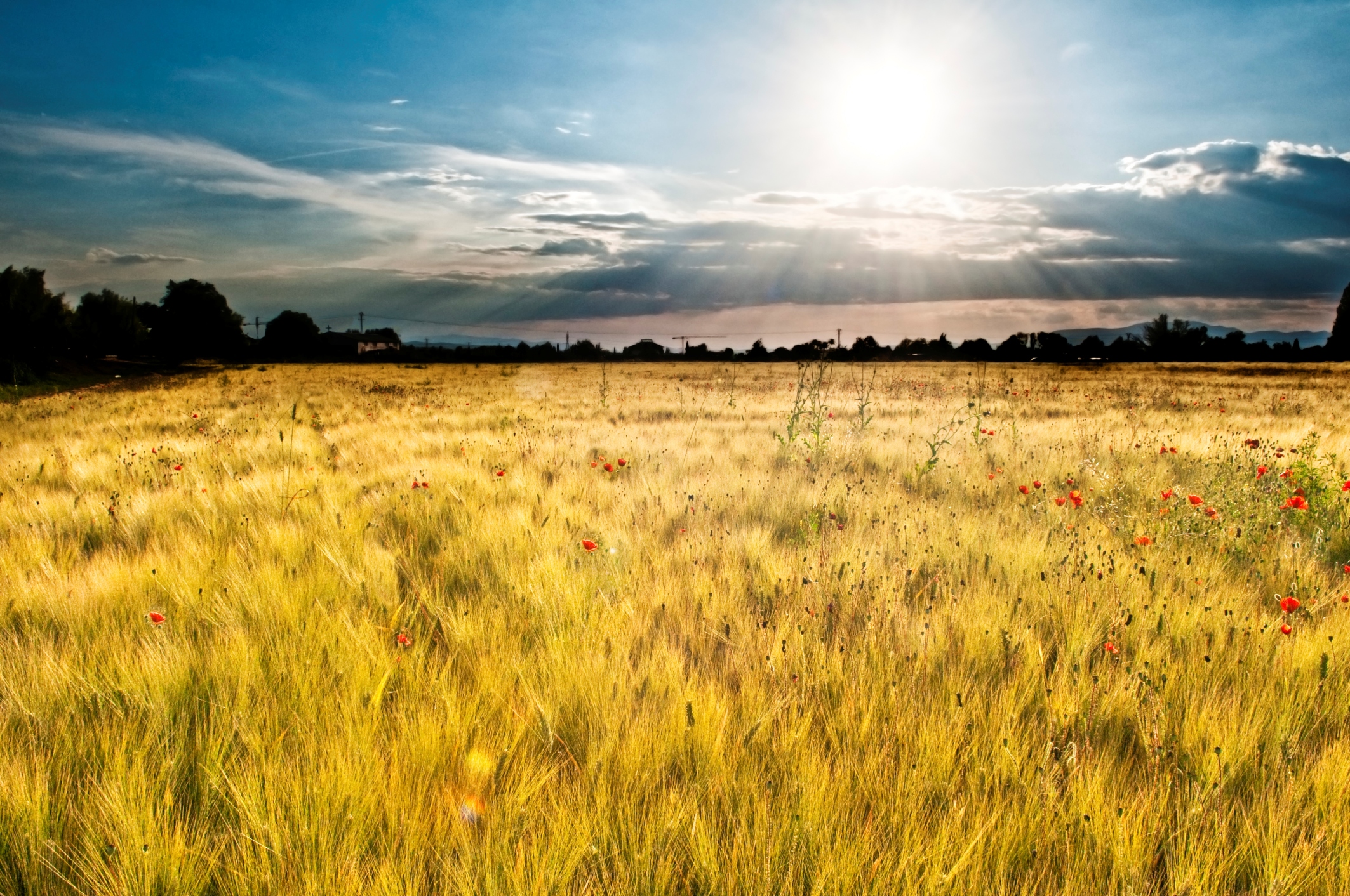 financialounge -  agricoltura italia redditività economica settore sanitario