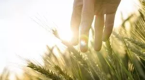 financialounge - agricoltura BCE GAM start-up stress test