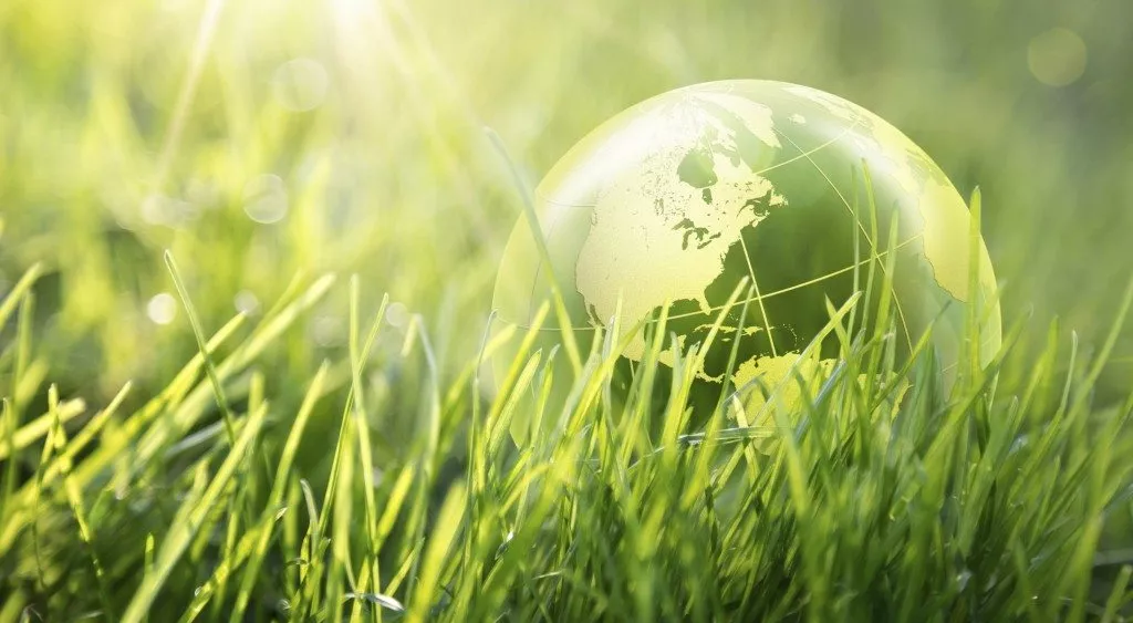 financialounge -  brasile energia rinnovabile petrolio settore automobilistico
