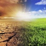 Perché il cambiamento climatico è un rischio sistemico