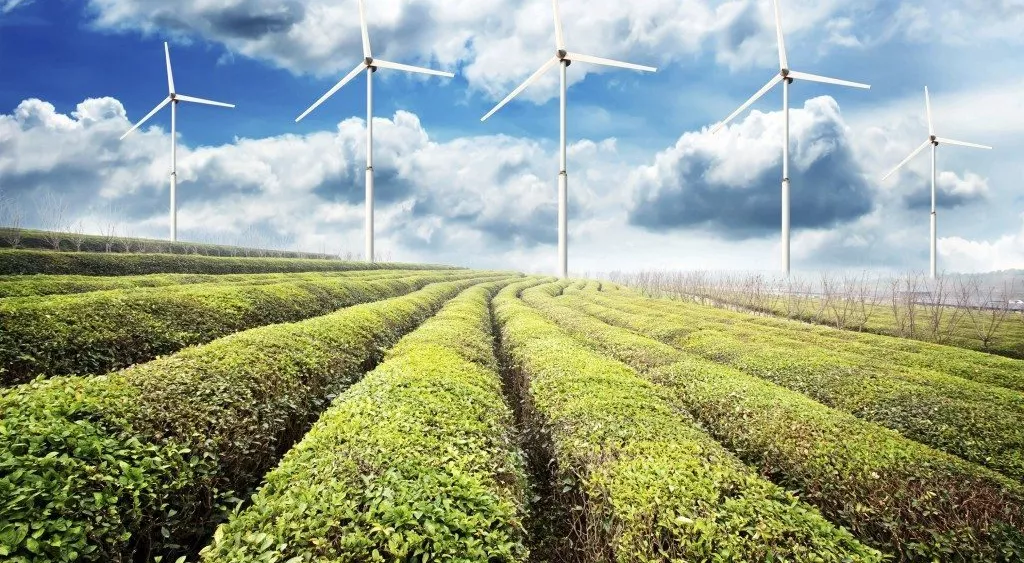 financialounge - energia rinnovabile High Yield petrolio Roberto Cominotto