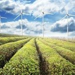 Come guadagnare dalla rivoluzione energetica in atto