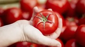 financialounge - Carlo Benetti commodities politica monetaria