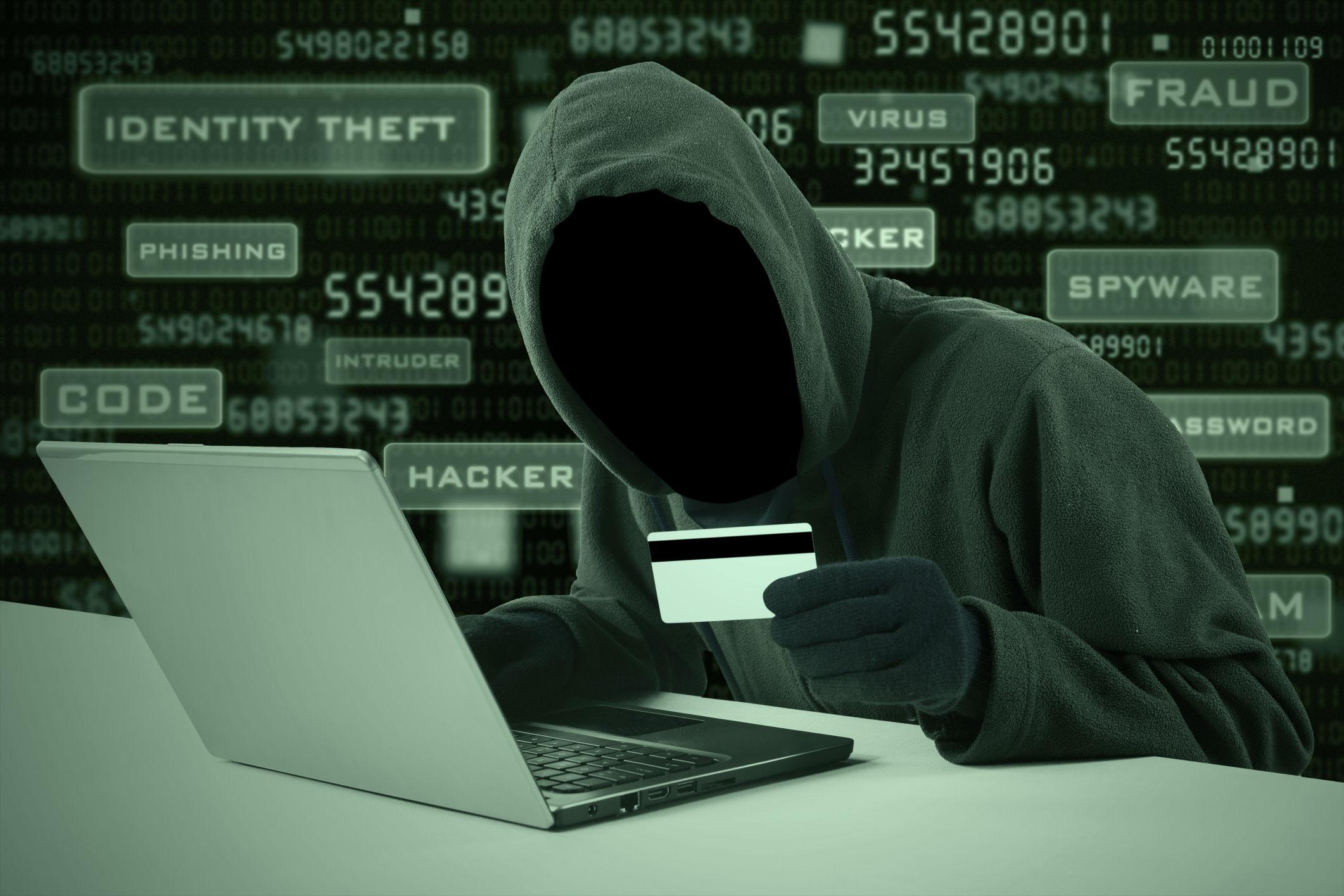 financialounge -  carte di credito hacker settore tecnologico sicurezza USA