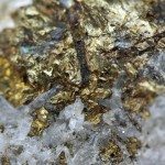 Torna in attivo la raccolta degli ETP sulle commodity