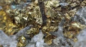 financialounge -  agricoltura commodities ETF ETP materie prime oro settore energetico