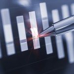 Focus su equity, high yield ed emerging market debt
