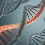 Google Baseline, l’high-tech conquista il settore biomedico