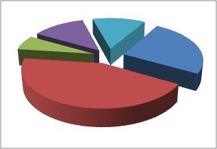 financialounge -  asset allocation Banca d'Italia come investire diversificazione euro italia livello di rischio rating