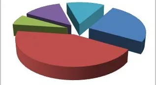 financialounge - asset allocation Banca d'Italia come investire diversificazione euro italia livello di rischio rating
