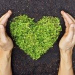 Due imprese su tre attente alla responsabilità sociale