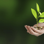 Investimenti sostenibili, più 61 per cento dal 2012