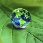 Gli investimenti sostenibili sono ora il “piatto forte”
