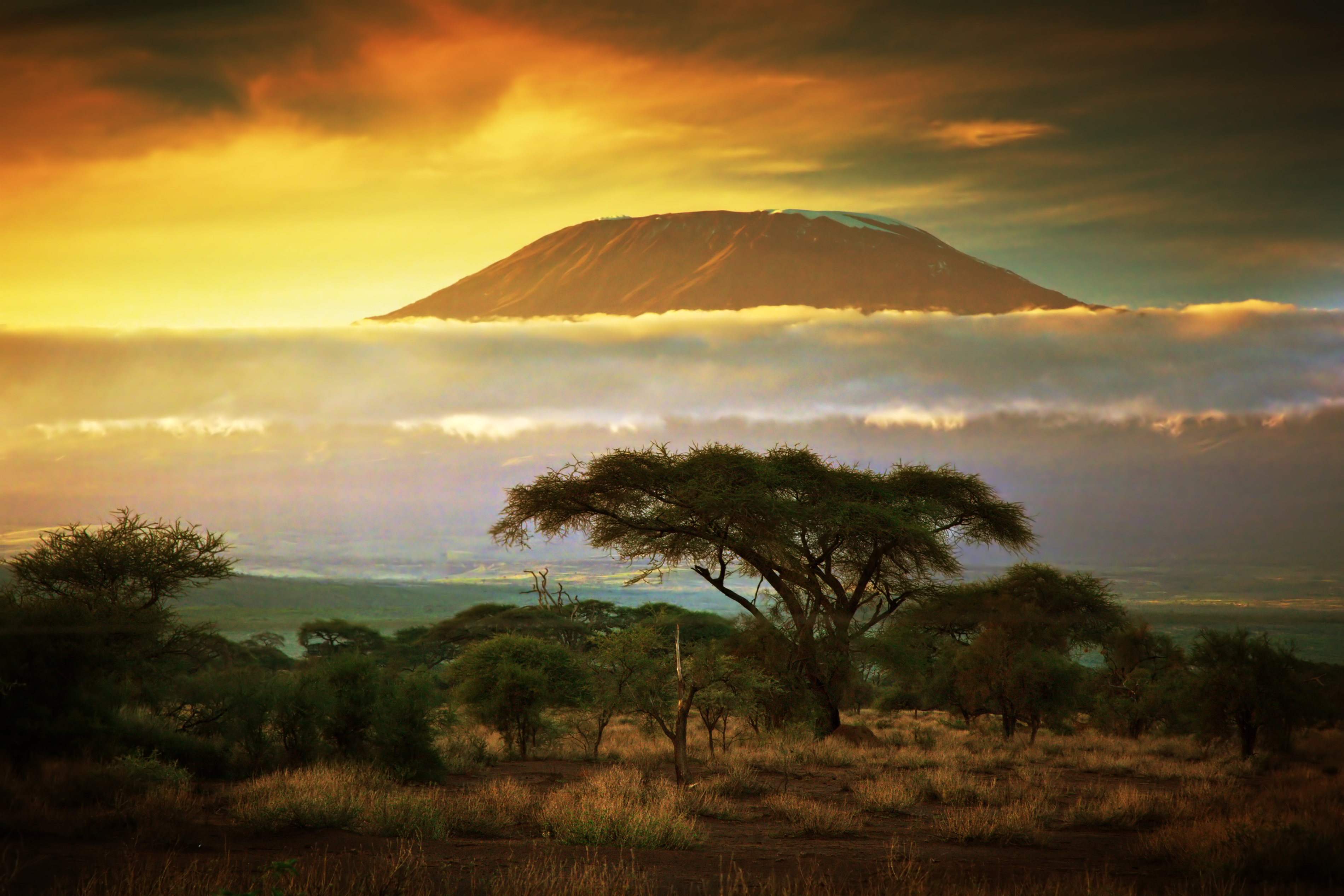 financialounge -  agricoltura crescita economica infrastrutture kenya povertà