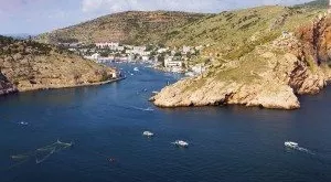 financialounge - crimea instabilità Maria Paola Toschi mercati emergenti Russia settore bancario settore energetico ucraina USA