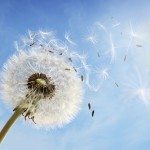 Mercati obbligazionari, la volatilità è un plus per i gestori attivi
