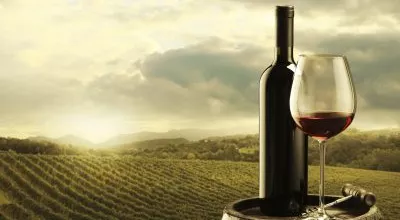 financialounge -  fine wine Supertuscan vino