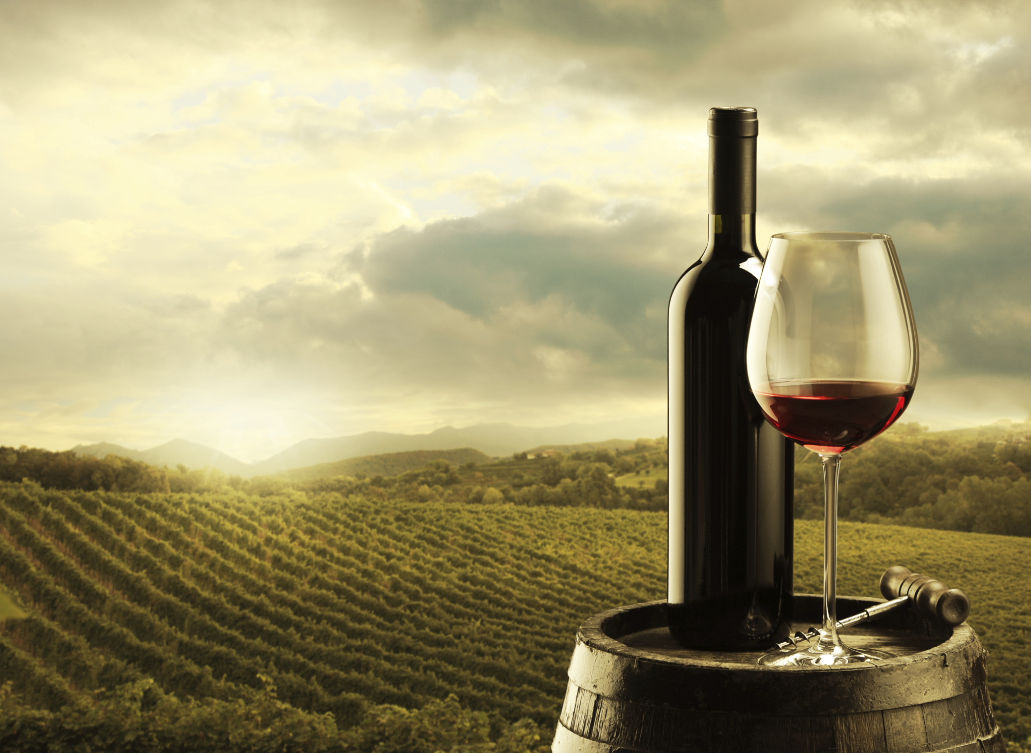 financialounge -  indice investimenti Mediobanca Wine mercati azionari vino