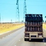 Il trend dei veicoli alimentati a gas naturale