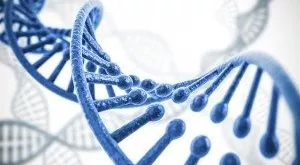 financialounge -  Janet Yellen mercati azionari Roche settore biotech USA