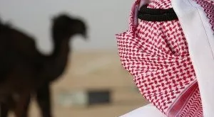 financialounge - Arabia Saudita petrolio ricchezza