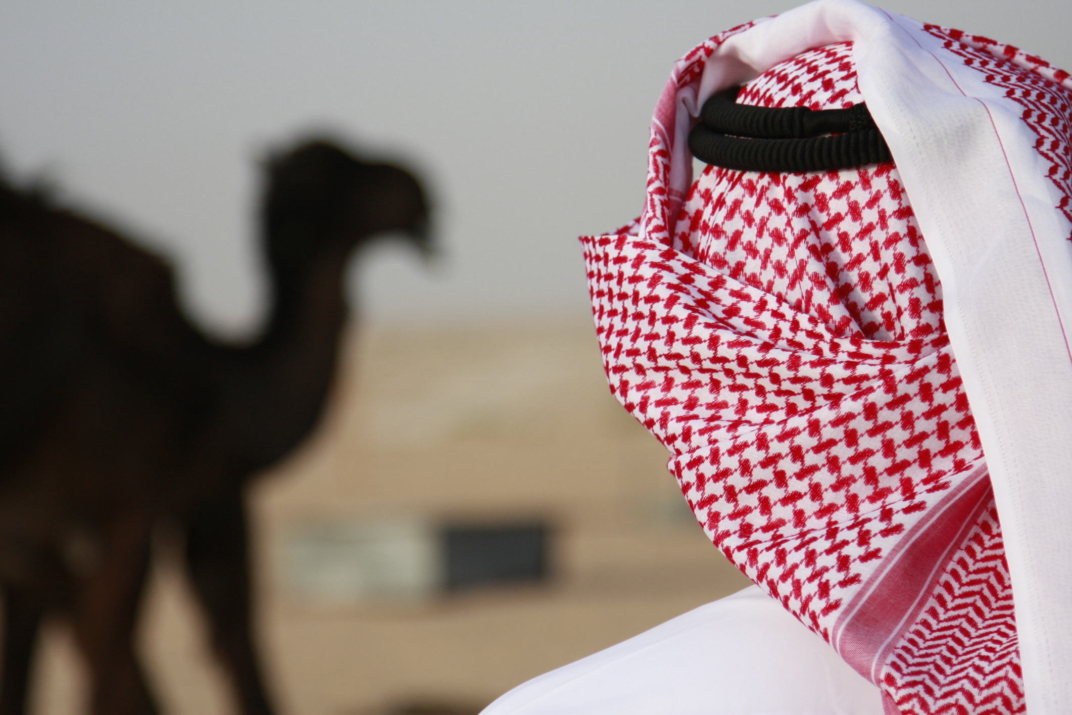 financialounge -  Arabia Saudita petrolio ricchezza