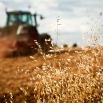 Vontobel: la biodiversità fattore guida degli Esg