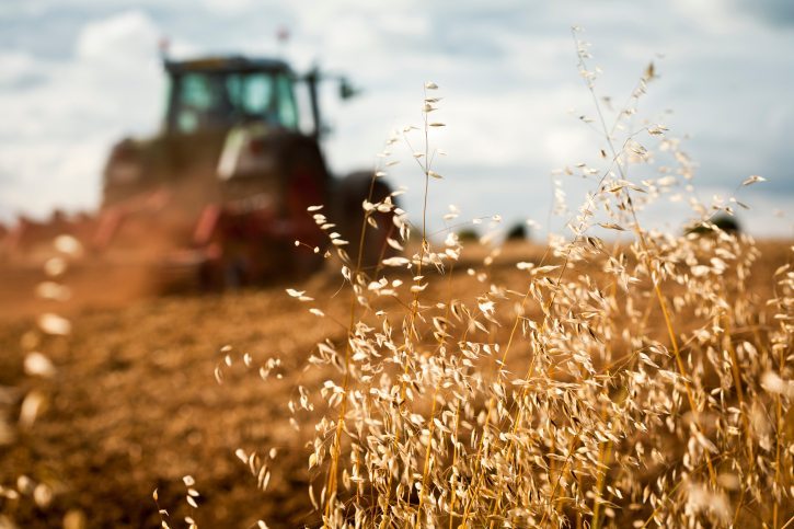 Vontobel: la biodiversità fattore guida degli Esg