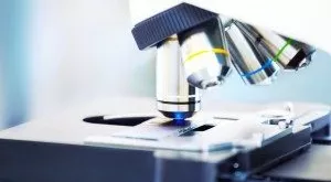 financialounge -  Christophe Eggmann GAM Mirjam Heeb settore biotech settore sanitario