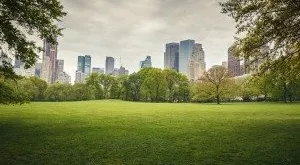 financialounge - città sostenibilità