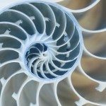 Fed, dopo il QE in arrivo il Twist 2.0?