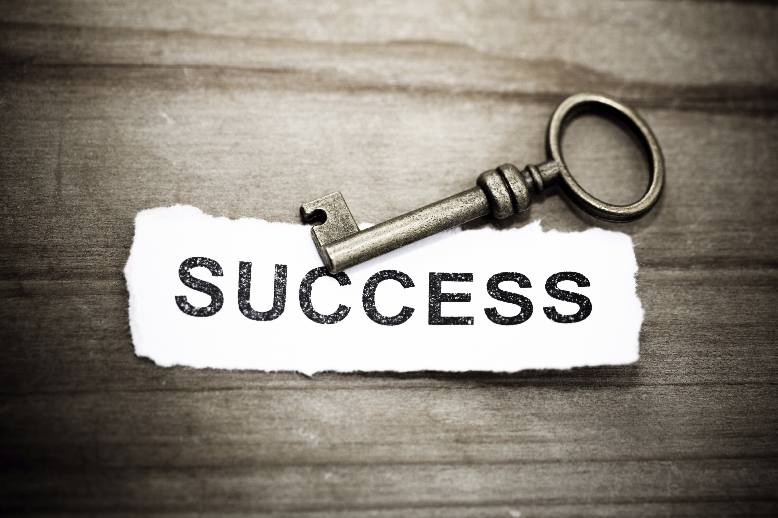 Undressing For Success
