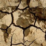 Cambiamento climatico, ecco alcune idee di investimento